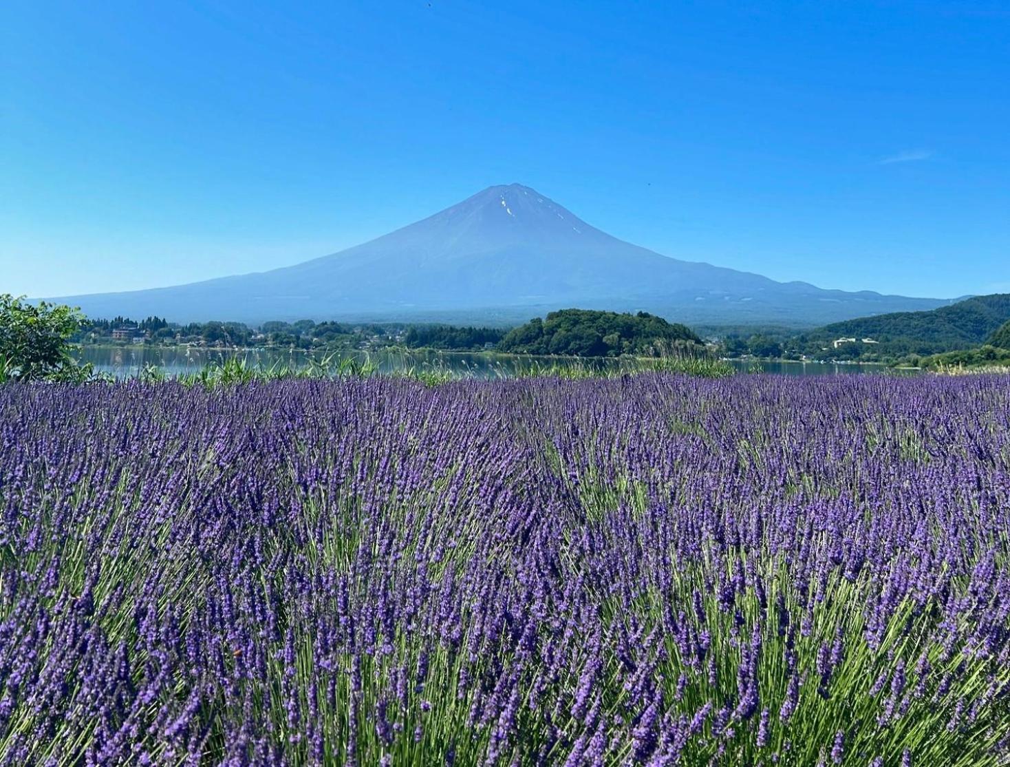 Mt Fuji Glamping Tourist Villa Kawaguchiko Fujikawaguchiko Exterior photo
